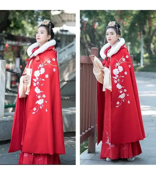 古代清朝服装女宫廷戏剧服明制汉服中国风改良秋古装刺绣加绒长款披风