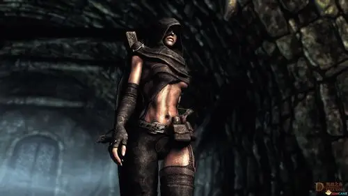 分享一个不错的截图_复仇者营地_凯恩之角_暗黑破坏神3论坛_夺魂之镰