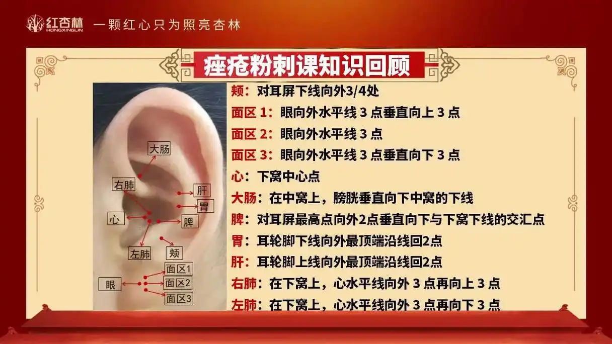 耳朵穴位对照#中医养生 #养生保健 #中医调理 身体器官 - 抖音