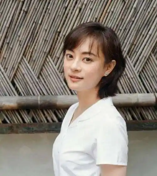 当年的孙俪其实才20岁,和向海清的年龄差不多,但是孙俪成名比较早