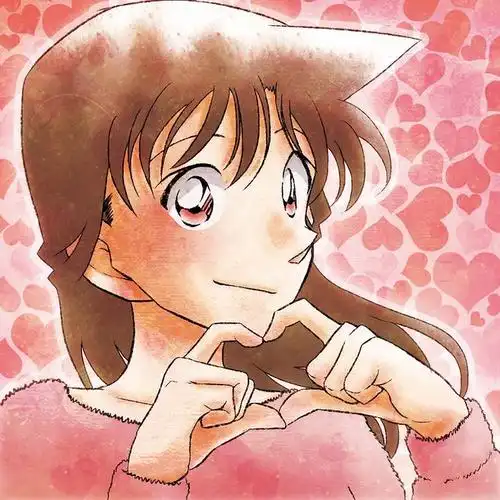 名侦探柯南新兰情头工藤兰工藤新一毛利兰