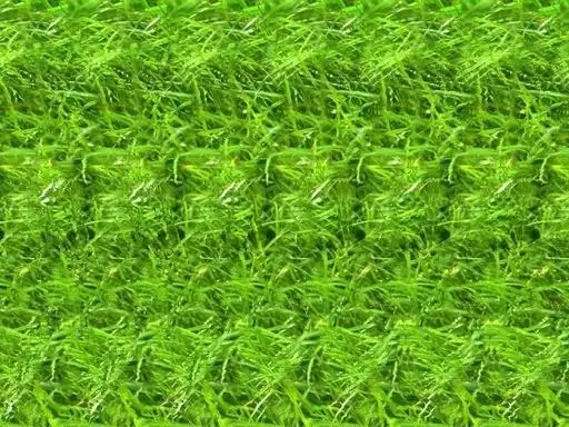 裸眼3d与三维立体图-贵州启晟云网络科技有限公司