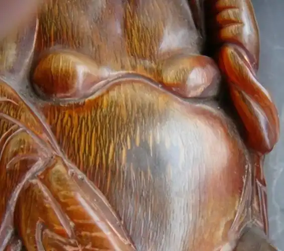 揭秘犀角三十年造假史,这几种仿品你见过? - 社会资讯(主打网)