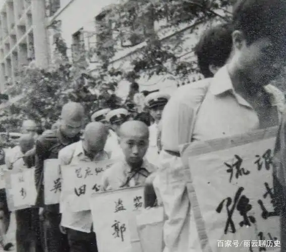 1983年的第一次严打,总共耗时3年,期间枪毙了多少罪犯?