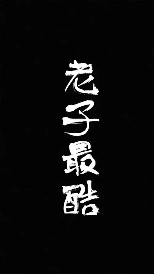 老子最酷一组黑白背景文字手机壁纸壁纸壁纸表情