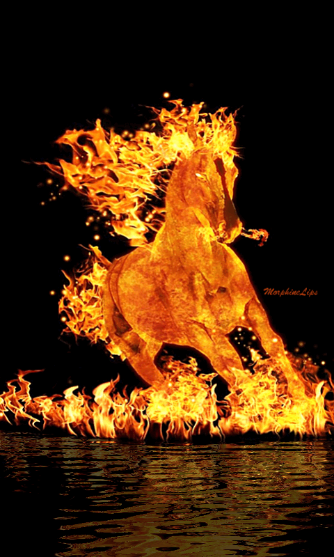 480_800竖版 竖屏gif 动态图 动图