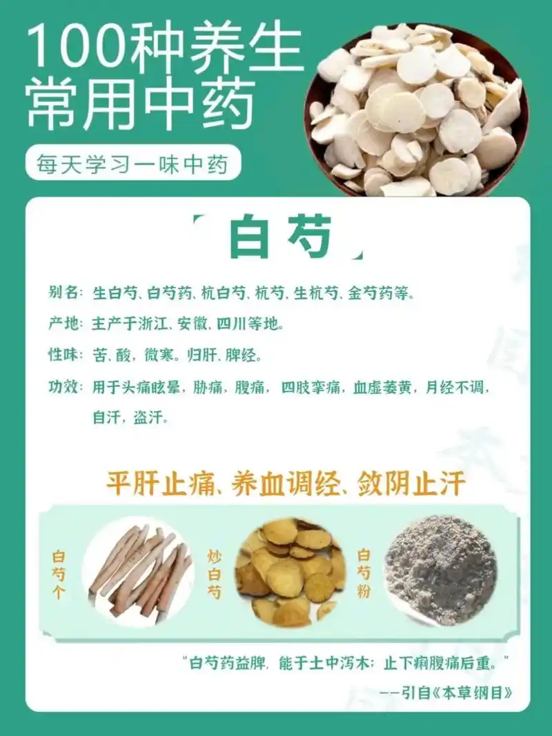 养生常用100种中药——白芍.#养生汤 - 抖音