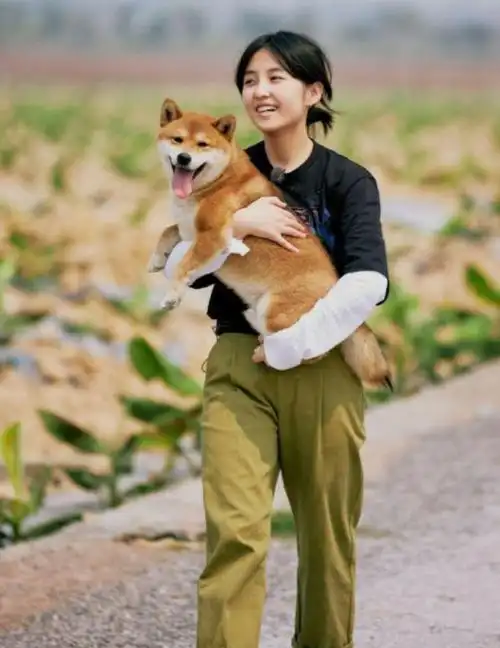 前面说在红毯表现上,张子枫是"周冬雨第二",而在电影的表现上,张子枫