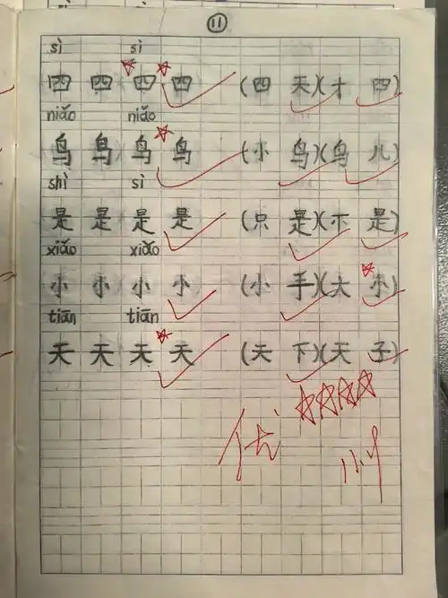 生字本书写展示