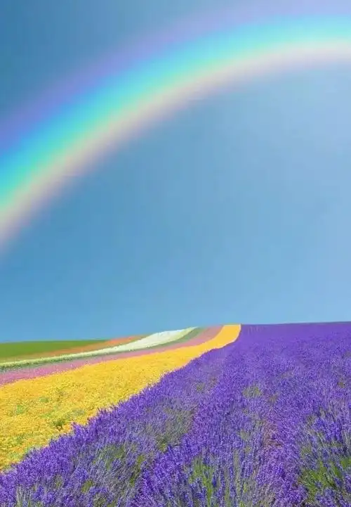 35张绝世美景,太美了