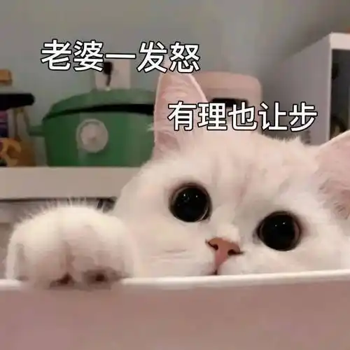 情侣日常聊天表情包