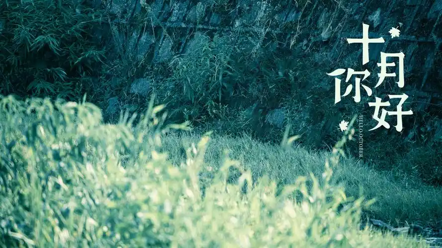 2020十月你好唯美稻穗风景