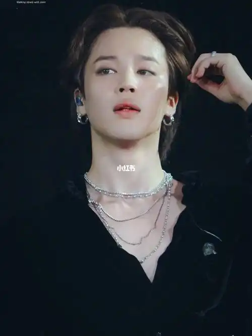 釜山演唱会|朴智旻站姐图06