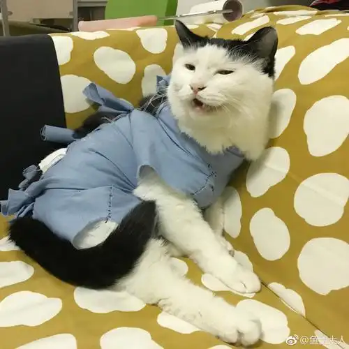 大爷你好好拉屎好吗不要软便了好-鱼蛋!