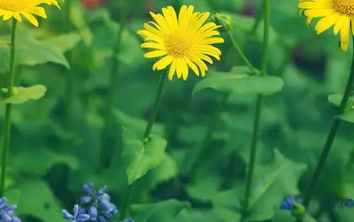 (4/ 7) 2016-11-28 11:08:18 壁纸尺寸是: 1920×1200 图片来自用户"