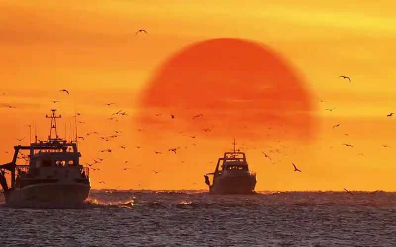 "落日沉溺于橘色的海,晚风沦陷于赤诚的爱"-港港久-青春-哔哩哔哩视频