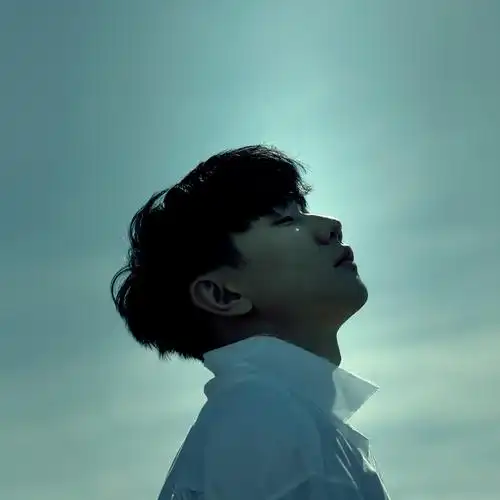 林俊杰黑夜问白天