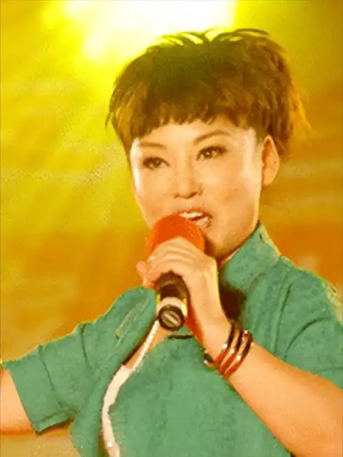 《大宅门》主题歌演唱者胡晓晴,创业失败,一生未婚