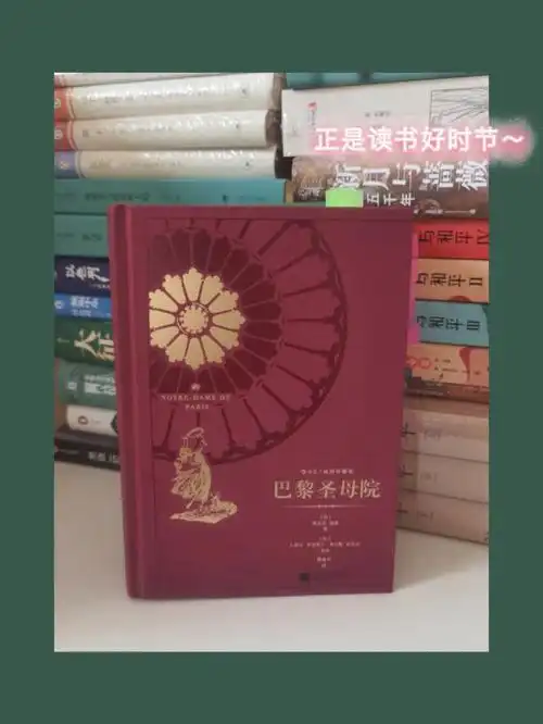 读书分享巴黎圣母院