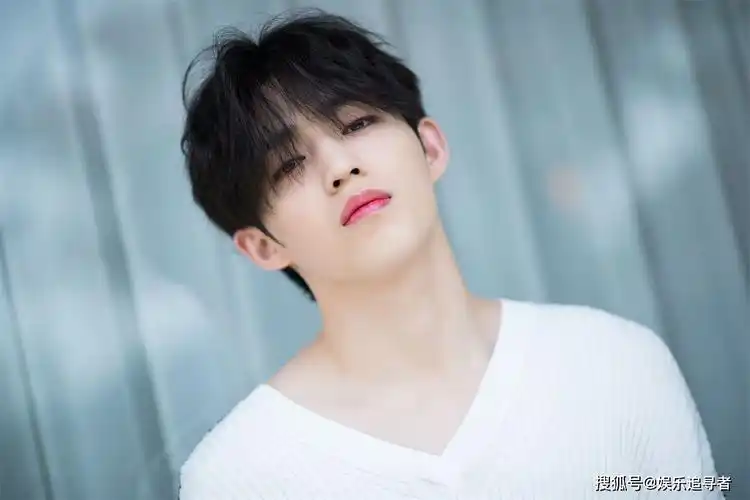 原创seventeen成员加入公司方式仅3位通过试镜而他在闲逛被发现