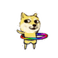 doge小黄狗呼啦圈魔性doge小黄狗动图表情包