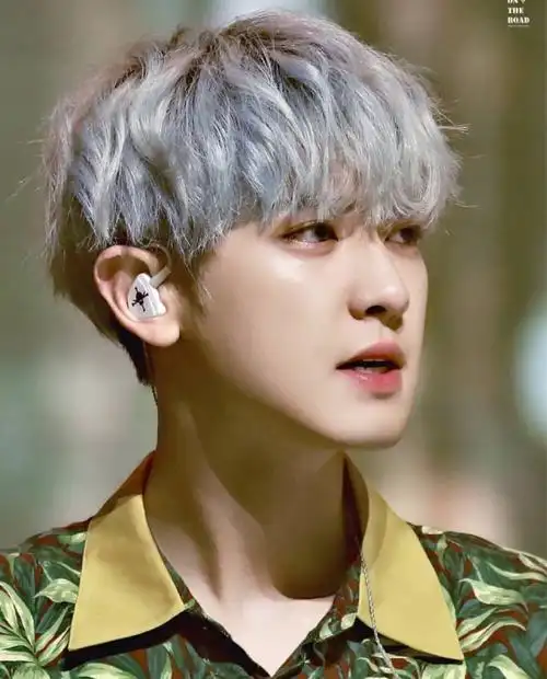 朴灿烈/超爱动物的爱心哥哥1 高清壁纸:我最爱的黄衣power 我最爱的