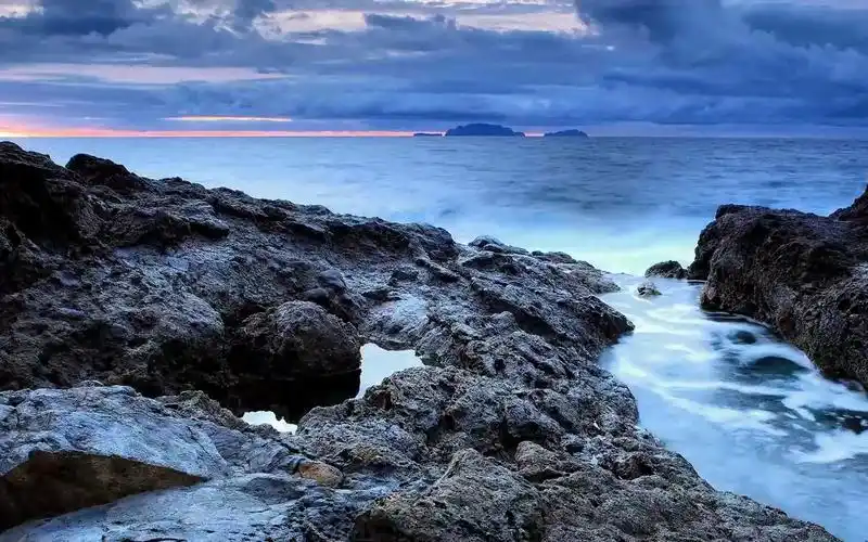 21天自我管理高阶训练营第20期