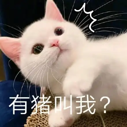 可爱猫咪表情包