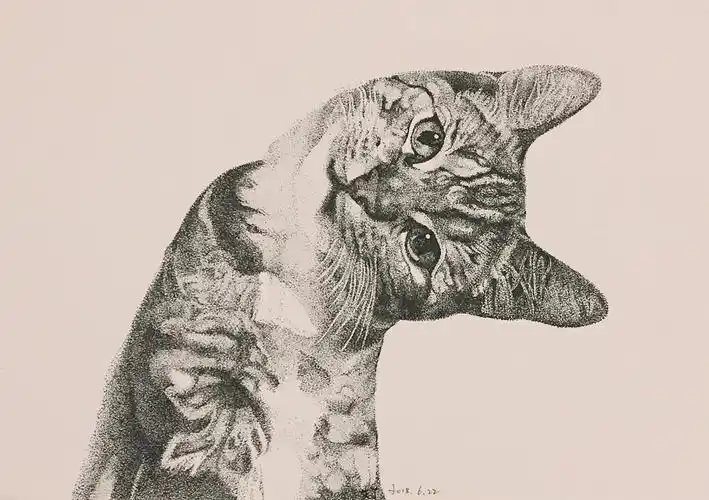 针管笔点绘宠物|纯艺术|绘画|姜姜手作_原创作品-站酷zcool