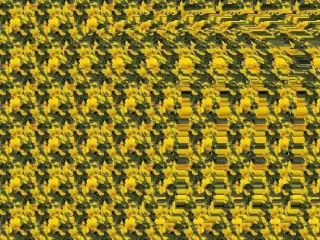 三维立体图片欣赏盘点网络流传的3d立体图片合集