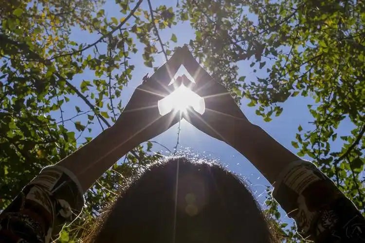 透过指缝的阳光图片,阳光透过指缝唯美图片-图片大观-奇异网