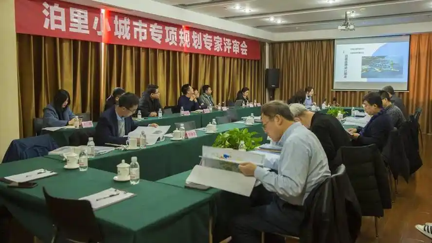 泊里镇召开小城市专项规划专家评审会_史桂龙