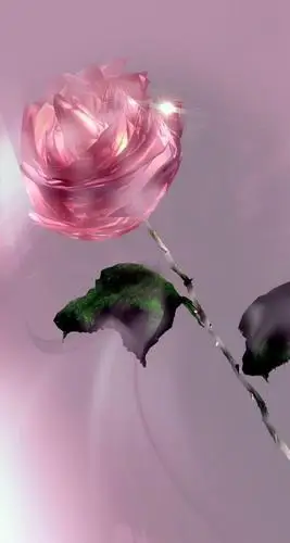 唯美清新壁纸,好温柔啊!