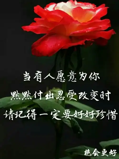 懂得珍惜,才配拥有