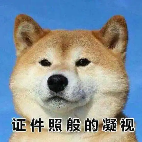 [证件照般的凝视.jpg]