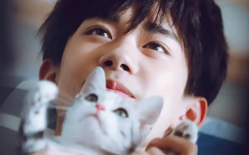 易烊千玺也太温柔了吧! 676767 - 堆糖,美图壁纸兴趣社区