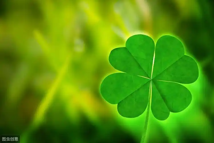 心理学第一眼就喜欢哪棵幸运草测你最近有什么惊喜