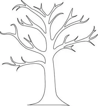 树的简笔画枝干