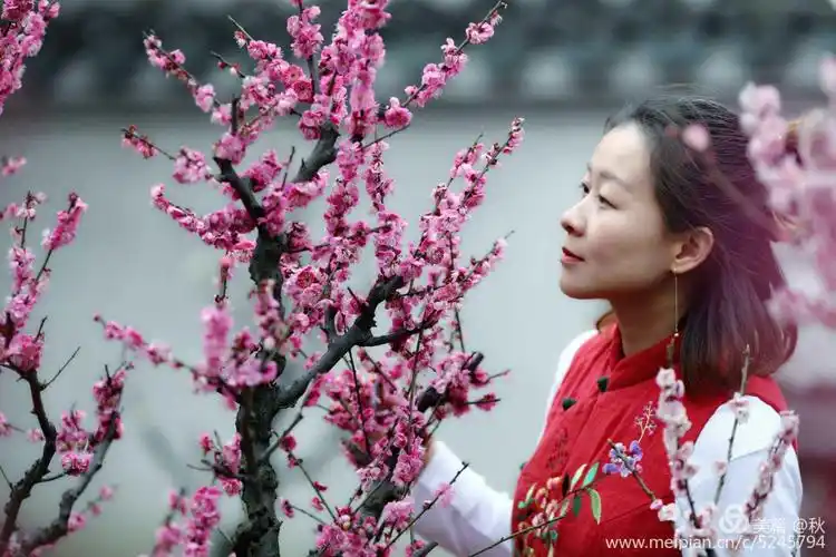 女人如花,优雅如水