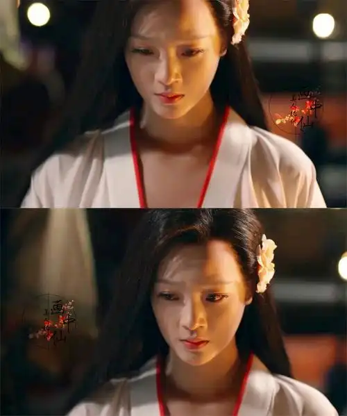 《芈月传》魏美人,扮演者何杜娟.