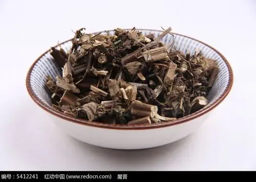 中药香茶菜摄影图