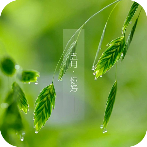 原宿风女孩壁纸锁屏v124