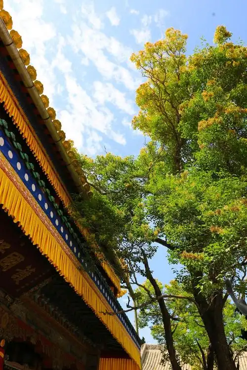 藏传佛教塔尔寺