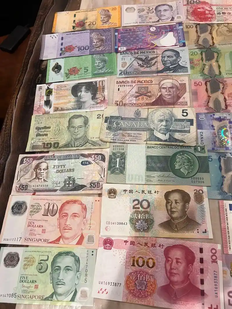 大钱小钱 #钱币上的旅行 这些年收藏的各国纸币,应该有超过 - 抖音