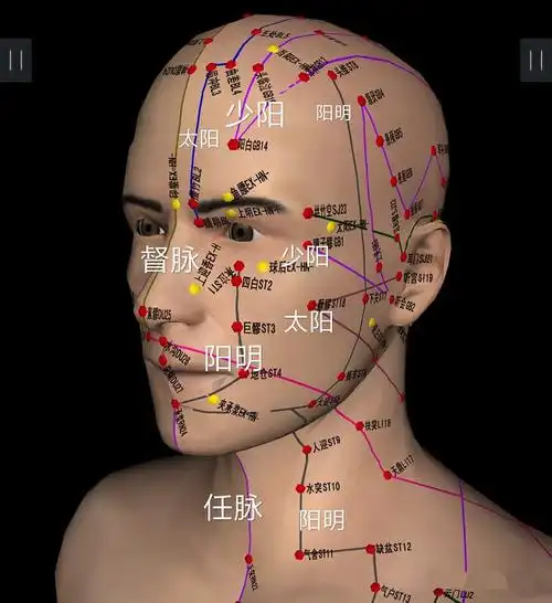 头面部主要经络是阳明所过,耳前主要有少阳与太阳,所以治疗耳病只要是