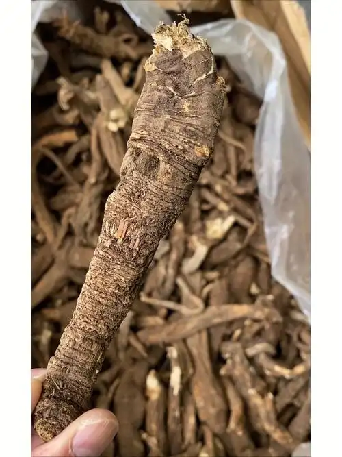 图1当归,图2图3黄芪,其他图是党参