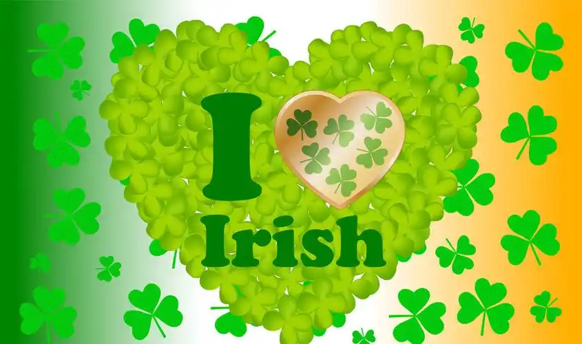 记得儿时曾为了一句话"找到四叶草,将得到幸福"而趴在草丛中苦苦寻觅.