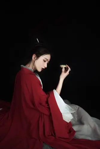 共197 件古装服装出租相关商品