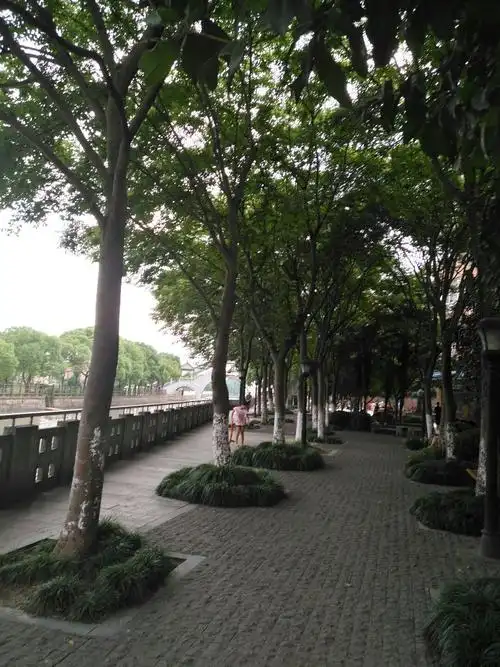 上海市闵行区马桥镇上海马桥强恕小学上海马桥强恕中学天气预报