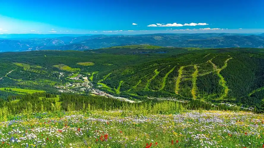 绿色护眼壁纸,mac电脑动态壁纸,风景壁纸下载,风景高清大图macv